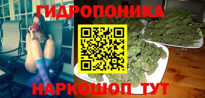 индика Славгород