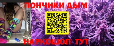 индика Славгород